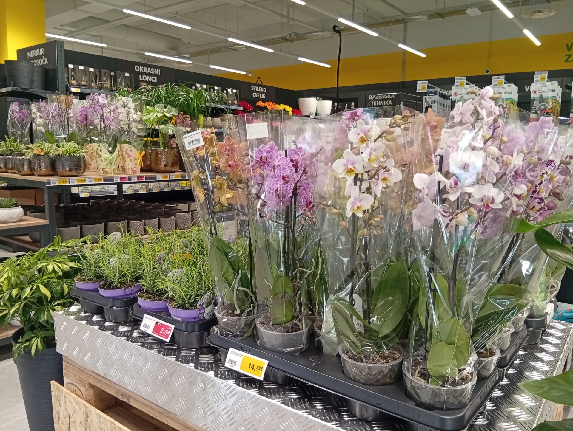 img_20260409_100144_1