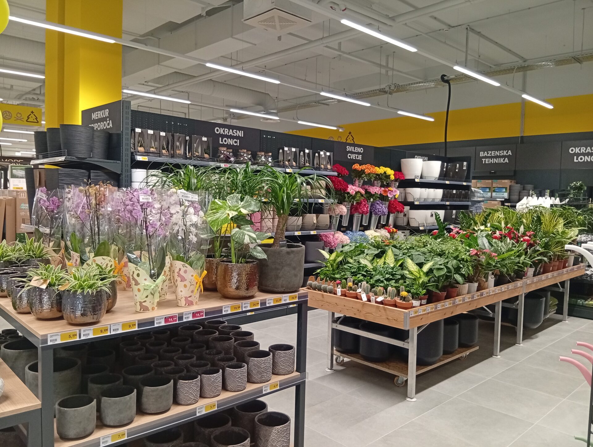 img_20260409_100151_1