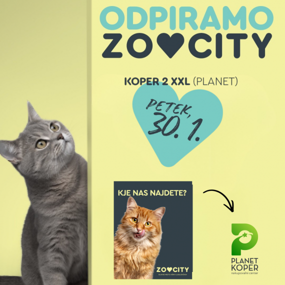 zoocity-3