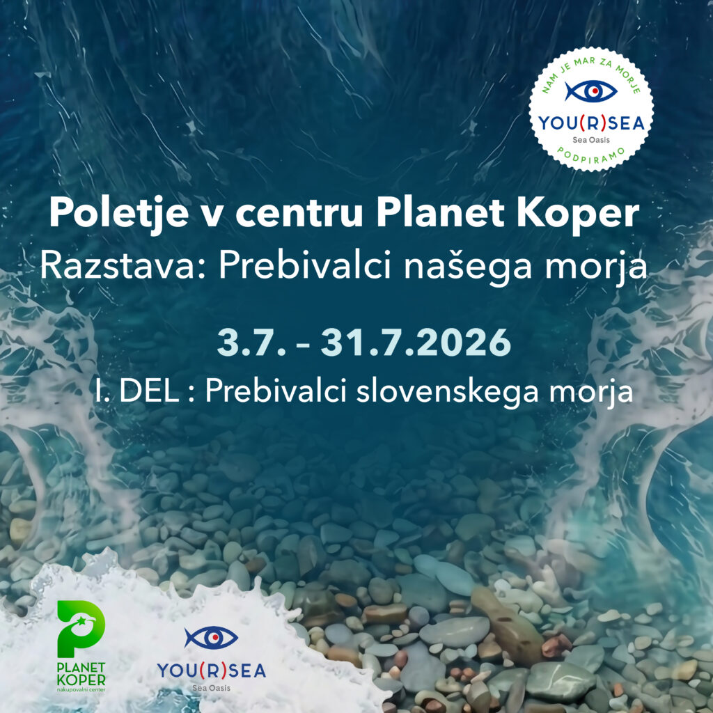 igpost_razstava_1del_2