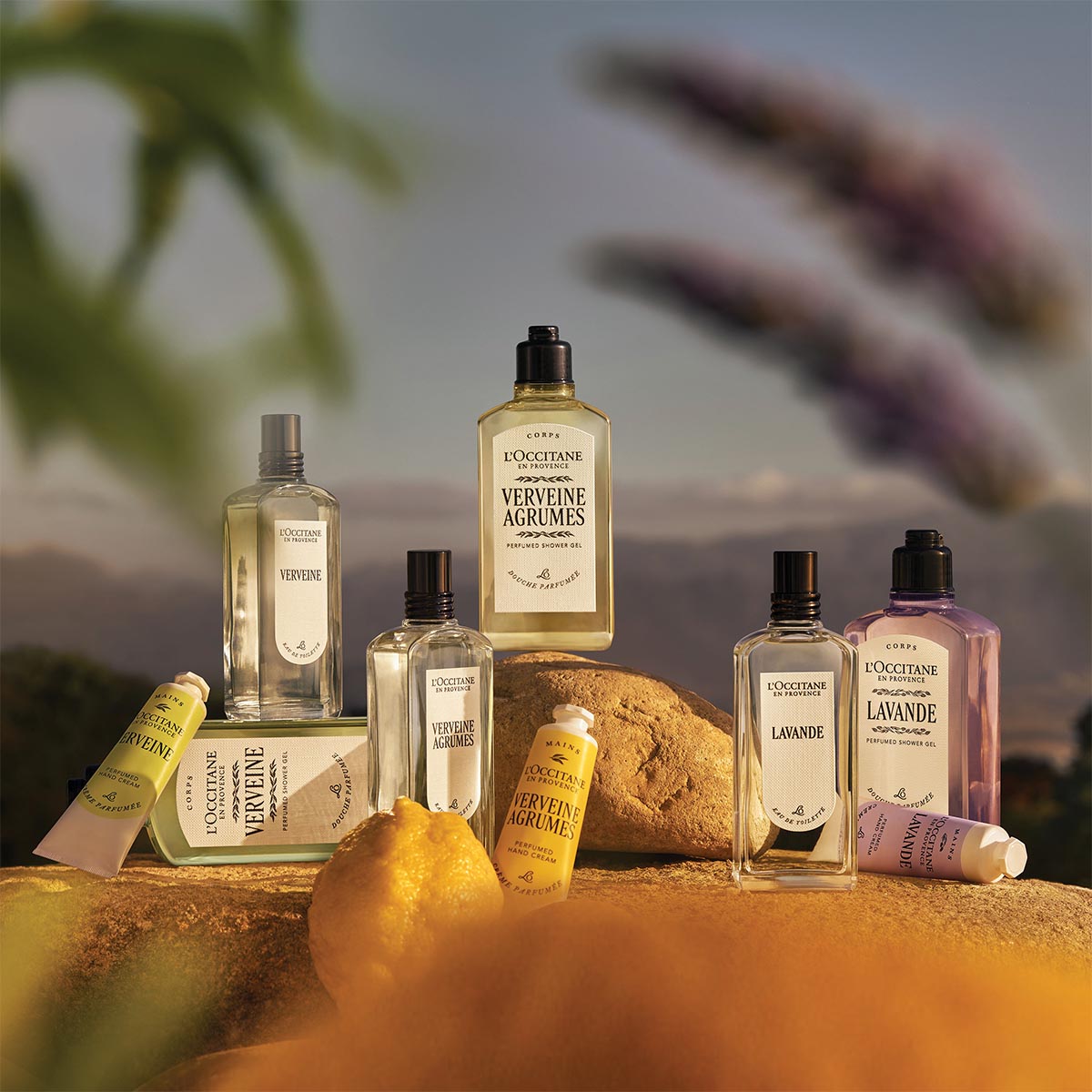 loccitane-kolekcije-esence-visoke-provanse-img