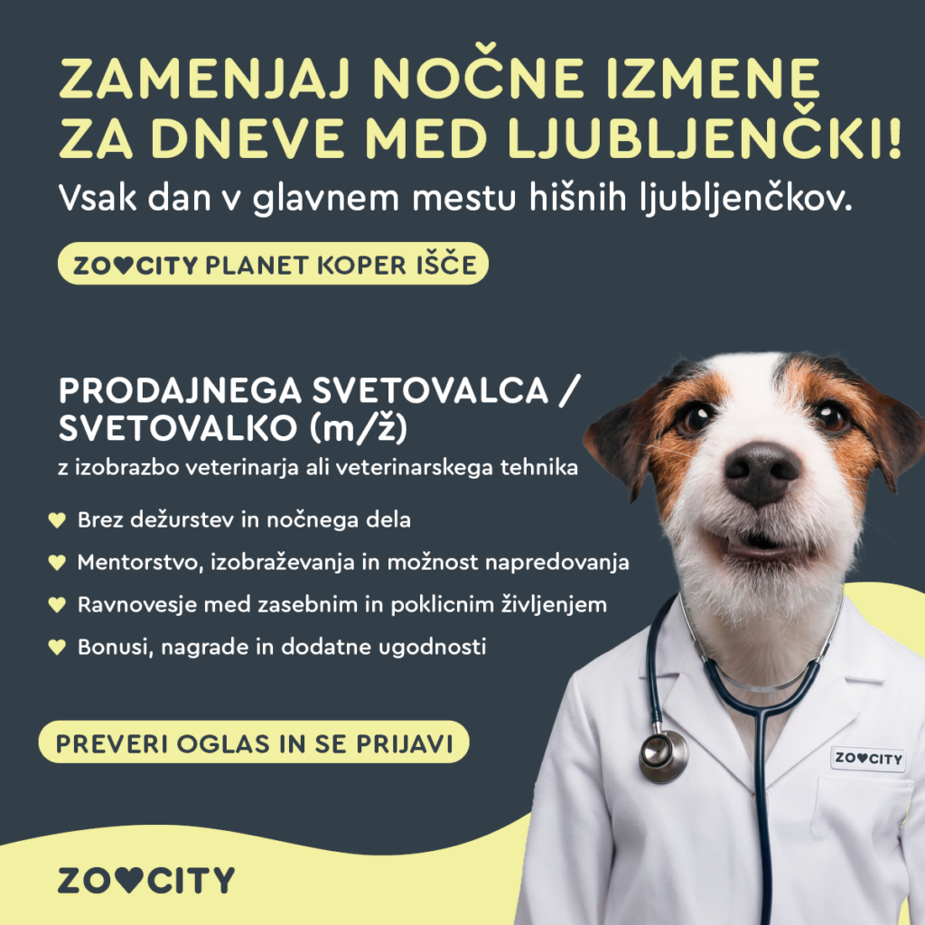 oglas-za-posao_1200x1200px